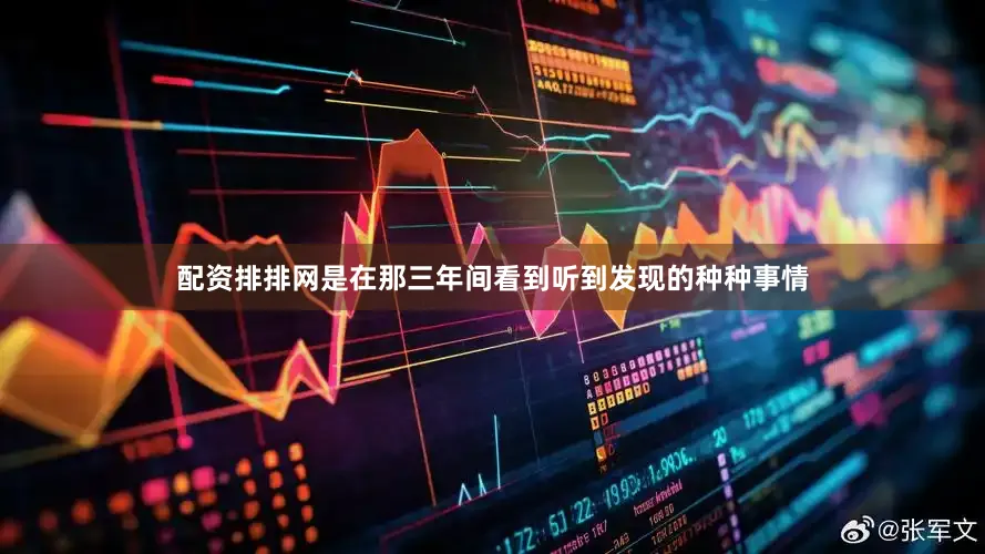 配资排排网是在那三年间看到听到发现的种种事情