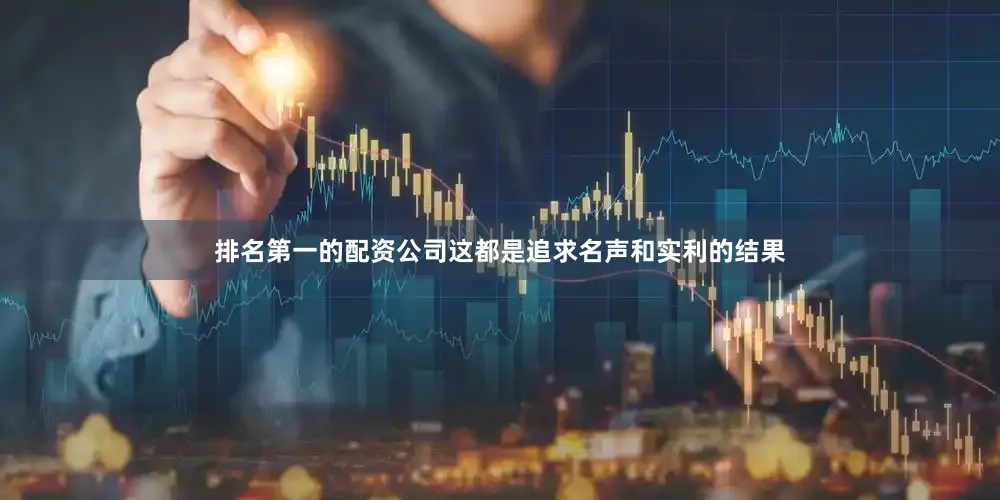 排名第一的配资公司这都是追求名声和实利的结果
