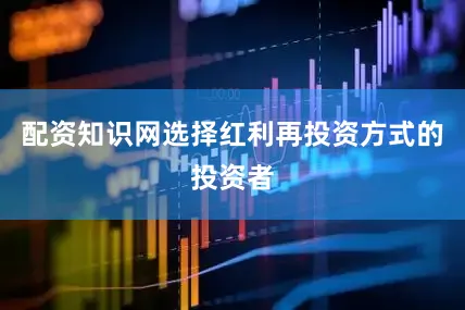 配资知识网选择红利再投资方式的投资者