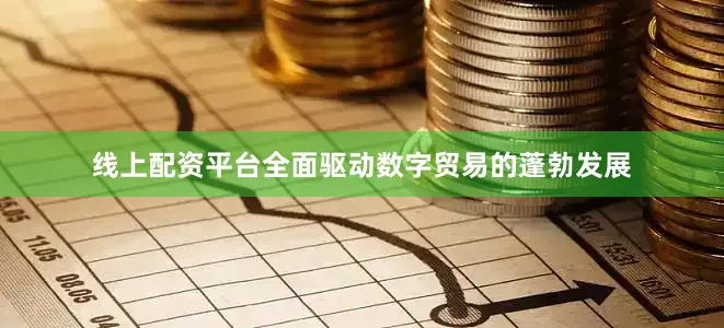 线上配资平台全面驱动数字贸易的蓬勃发展