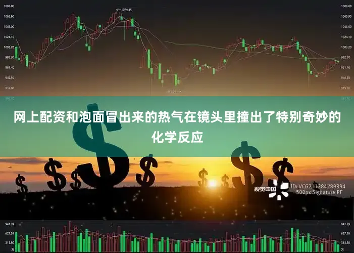 网上配资和泡面冒出来的热气在镜头里撞出了特别奇妙的化学反应
